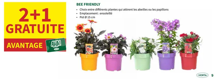 Offre: Bee Friendly planten