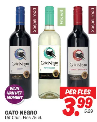 Gato Negro