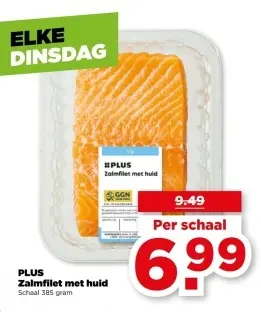 Zalmfilet met huid