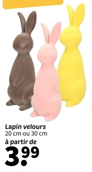 Offre: Lapin velours
