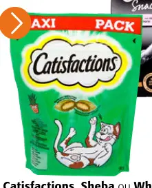 Offre: Catisfactions