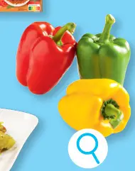 Offre: Poivrons
