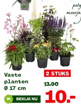 Aanbieding: Vaste planten