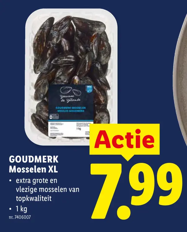 Promotie: Mosselen XL
