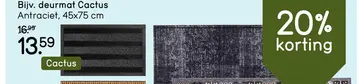 Aanbieding: Mat Cactus - antracietkleur - 45x75 cm