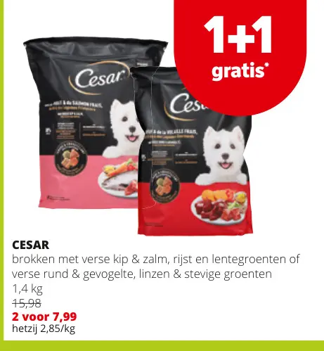 Promotie: Cesar