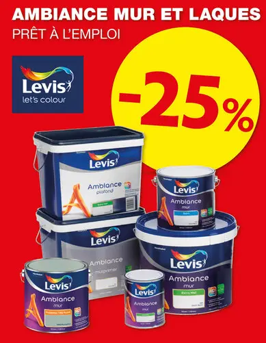 Offre: Ambiance mur et laques
