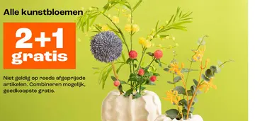 Aanbieding: kunstbloemen
