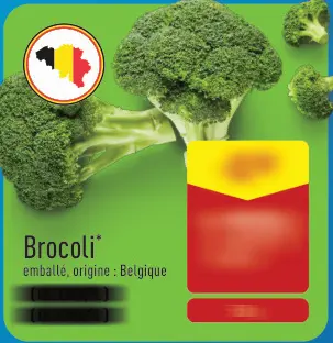 Offre: Brocoli