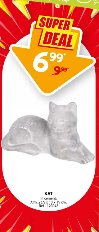 Promotie: Kat in cement