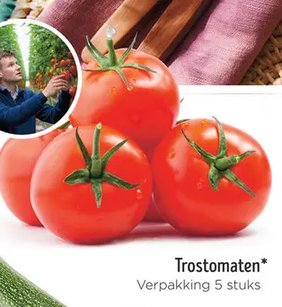 Aanbieding: Trostomaten