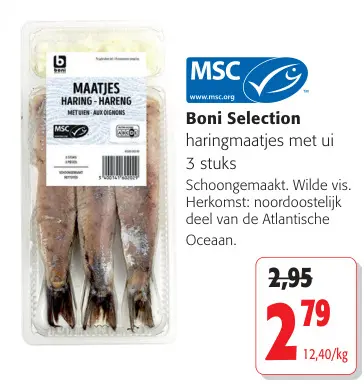 Promotie: Maatjes Haring