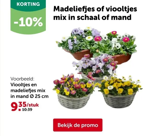 Promotie: Madeliefjes of viooltjes mix in schaal of man