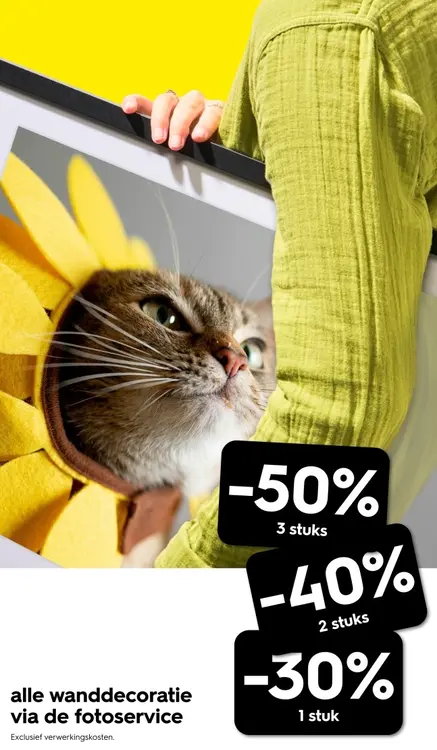 Promotie: wanddecoratie
