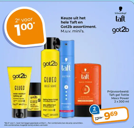 Aanbieding: Taft en Got2b assortiment