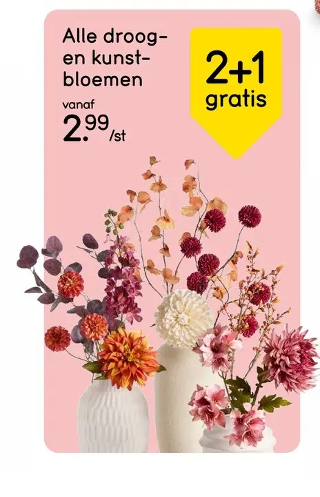 Promotie: Alle droog- en kunstbloemen