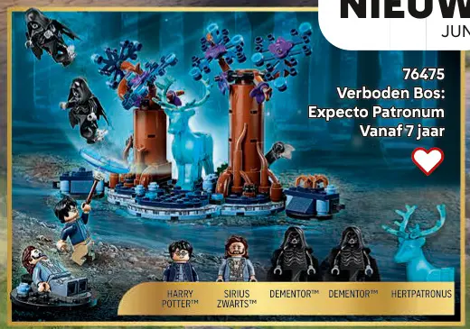 Aanbieding: Verboden Bos: Expecto Patronum