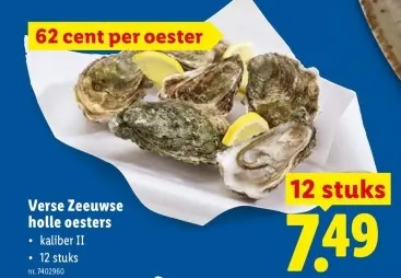 Promotie: Verse Zeeuwse holle oesters