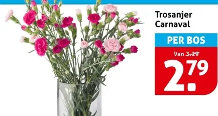 Aanbieding: Trosanjer Carnaval
