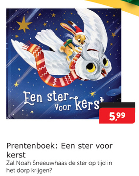 Aanbieding: Een ster voor kerst