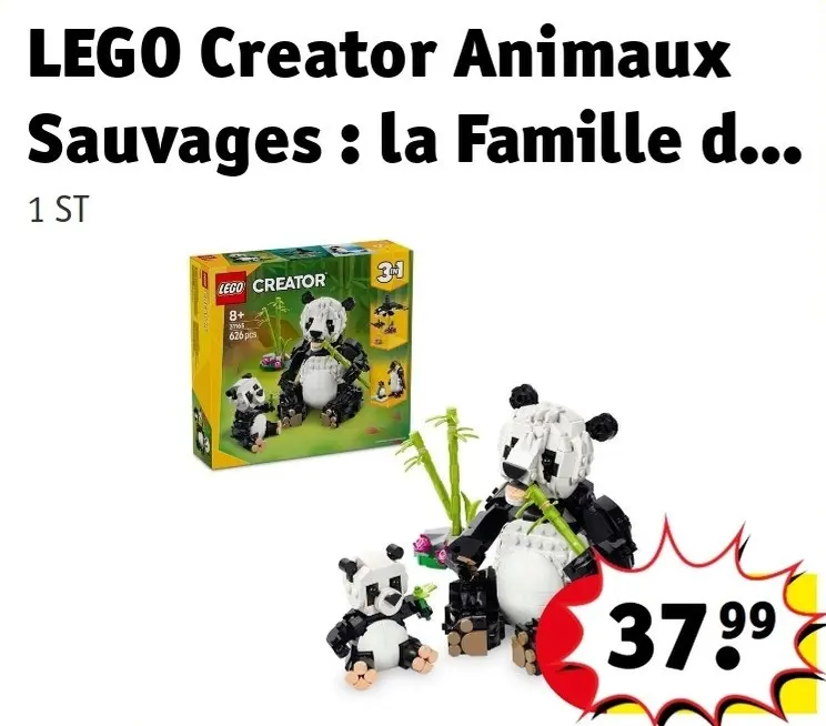 Offre: Animaux Sauvages : la Famille de Pandas