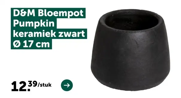 Aanbieding: Bloempot Pumpkin