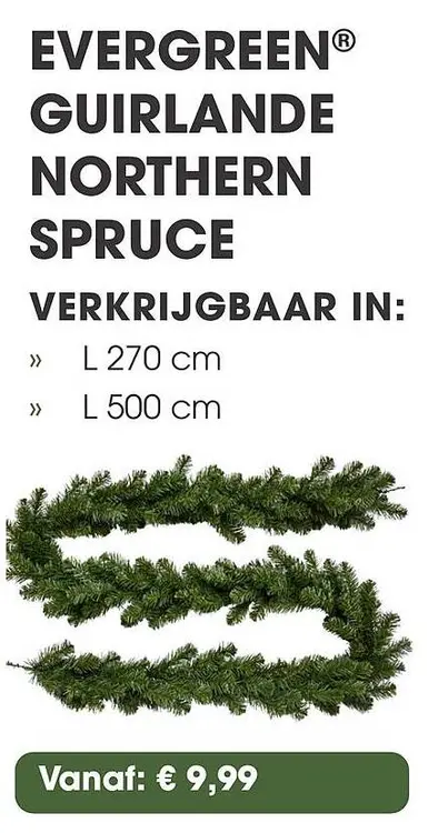 Aanbieding: Guirlande northern spruce
