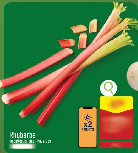 Offre: Rhubarbe