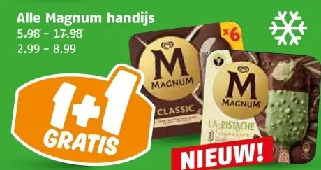 Aanbieding: Magnum handijs