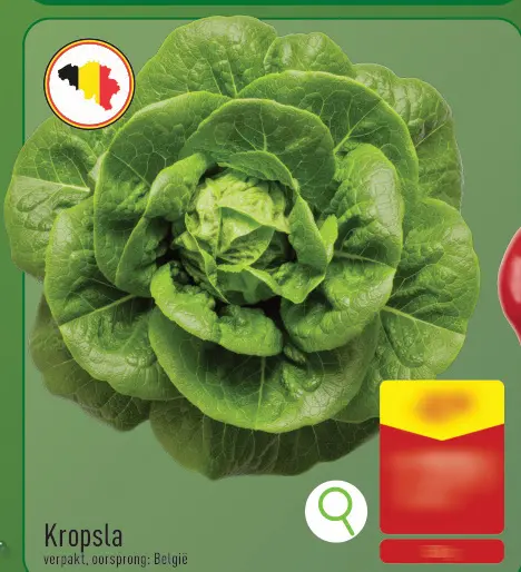 Promotie: Kropsla