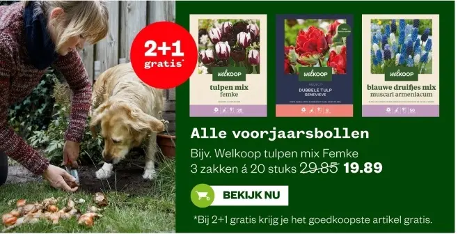 Aanbieding: Alle voorjaarsbollen