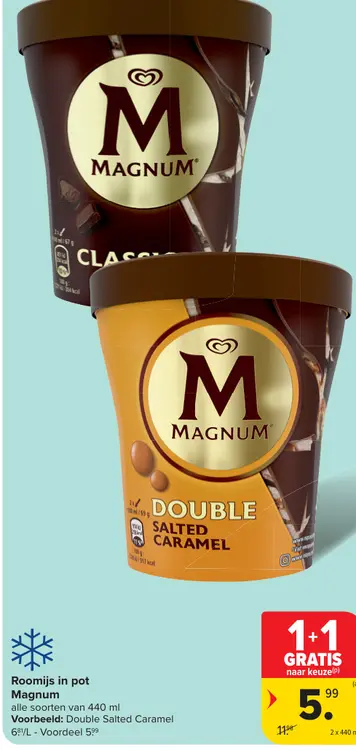 Promotie: Roomijs in pot