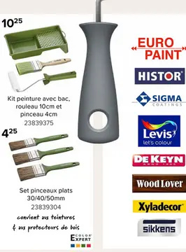 Offre: Kit peinture avec bac, rouleau 10cm et pincea