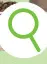 Promotie: Solitairplant