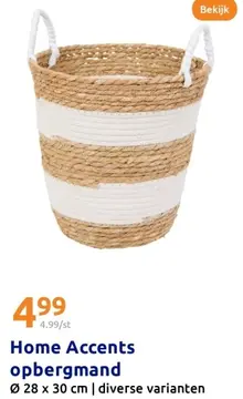 Aanbieding: Home Accents opbergmand