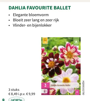 Promotie: Dahlia favourite ballet