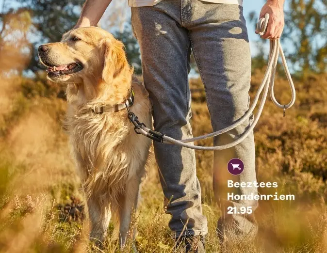 Aanbieding: Beeztees Hondenriem