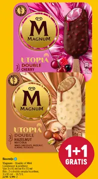 Aanbieding: Magnum - Double of Mini Combineer & profiteer