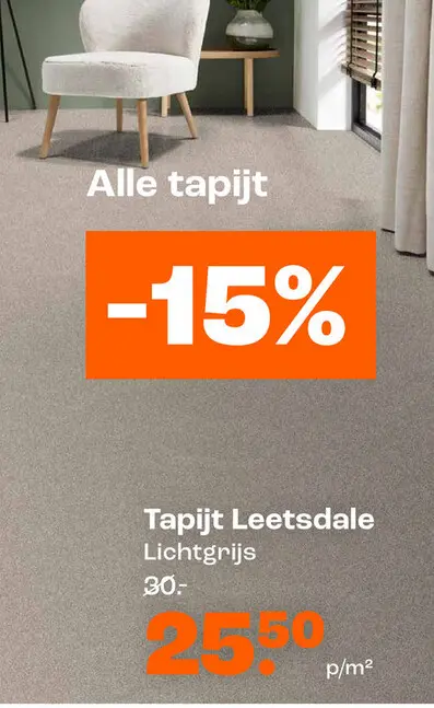Aanbieding: Tapijt Leetsdale