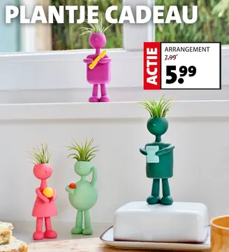 Aanbieding: Arrangement