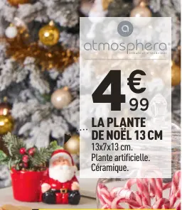 Offre: La plante de noël 13 cm