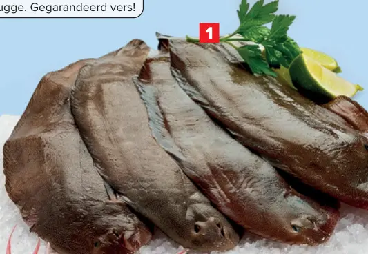 Promotie: Niet-gekuiste tongen