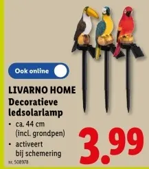 Promotie: Decoratieve ledsolarlamp
