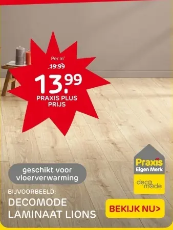 Aanbieding: Ecomode laminaat lions