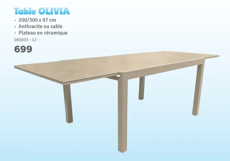 Offre: Table extensible