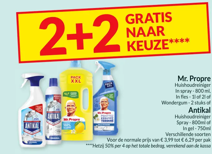 Promotie: Huishoudreiniger