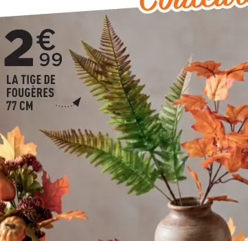 Offre: La tige de fougères 77 CM