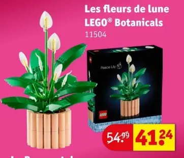 Offre: Les fleurs de lune