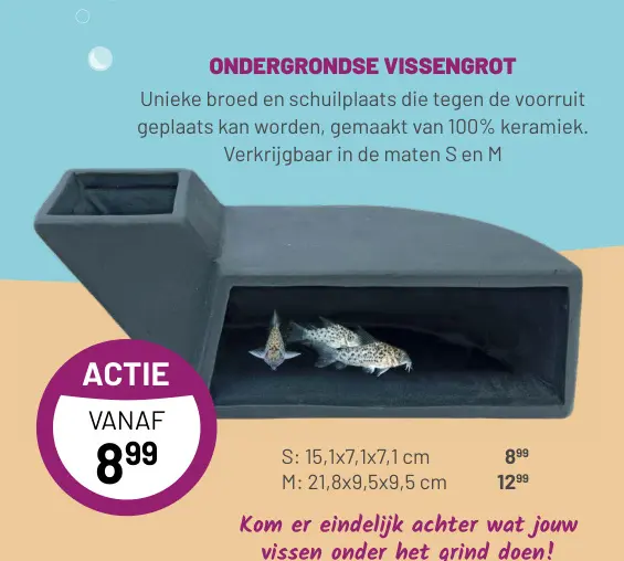 Aanbieding: Ondergrondse vissengrot