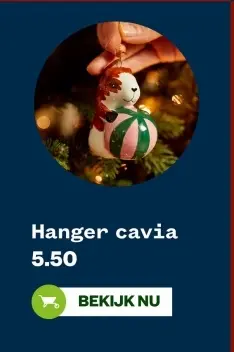 Aanbieding: Hanger cavia